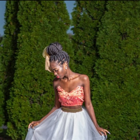 The Debut: Taffeta Tube Top